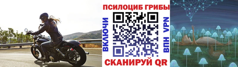 Купить закладки  Еманжелинск  Псилоцибиновые грибы мицелий 